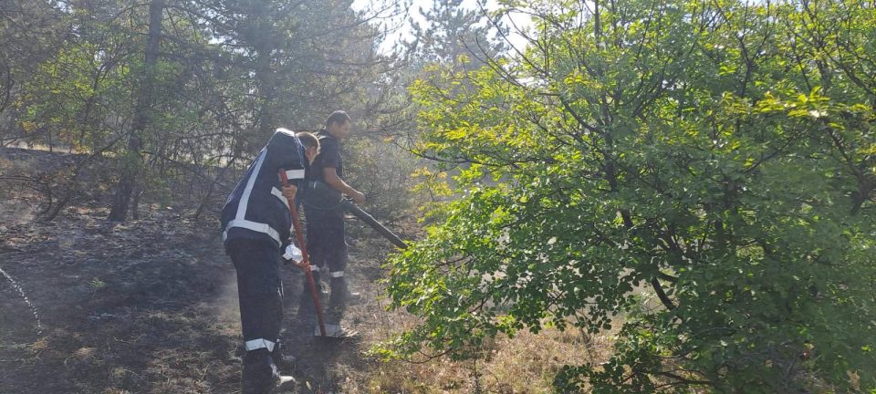 Тимови од Чешка и Словенија ќе го гасат пожарот на Готен