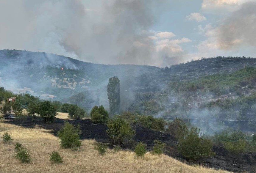 Во изминатото деноноќие 51 пожар на отворен постор, осум се активни, седум под контрола