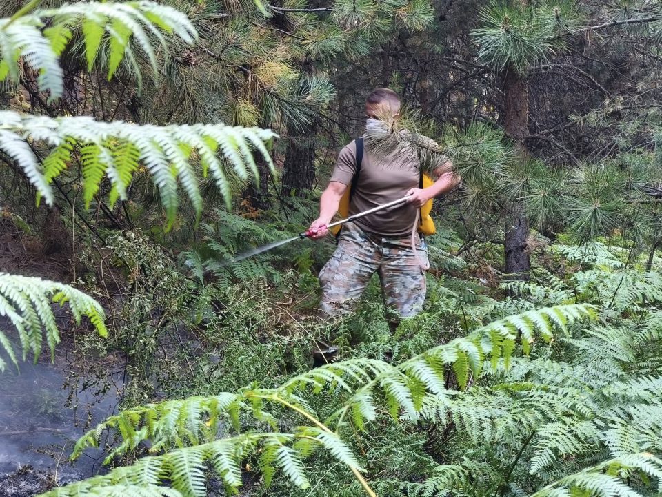 Пожарот во Косевица и Моштица под делумна контрола – екипите на терен