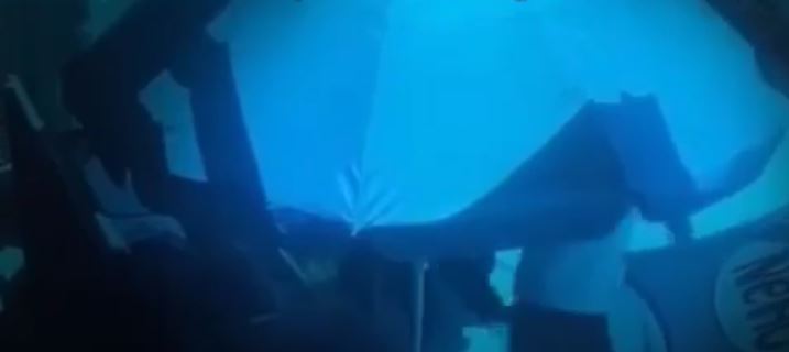 ВИДЕО: Данела прва нападнала, полицијата веднаш реагира?! Објавена снимка од надзорна камера