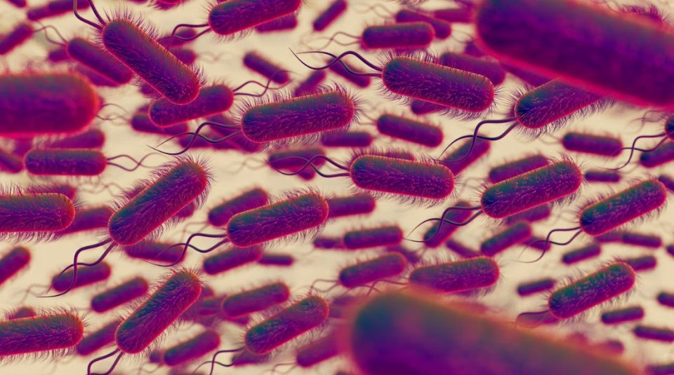 Анализи кои загрижуваат: Супербактериите би можеле да убијат милиони луѓе до 2050 година