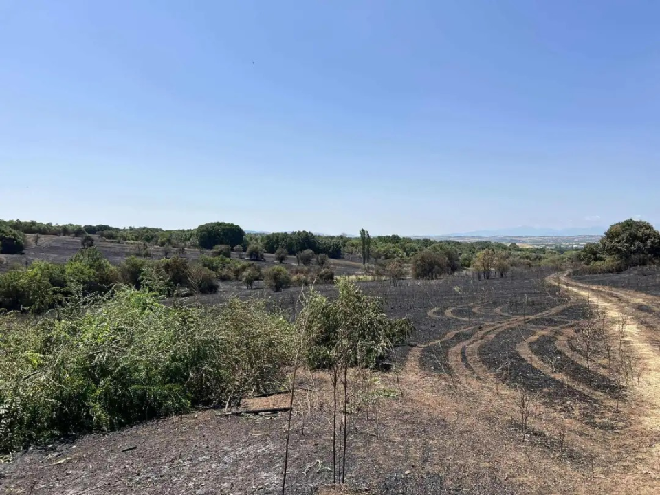 Материјална штета предизвикана од пожарите во кумановско