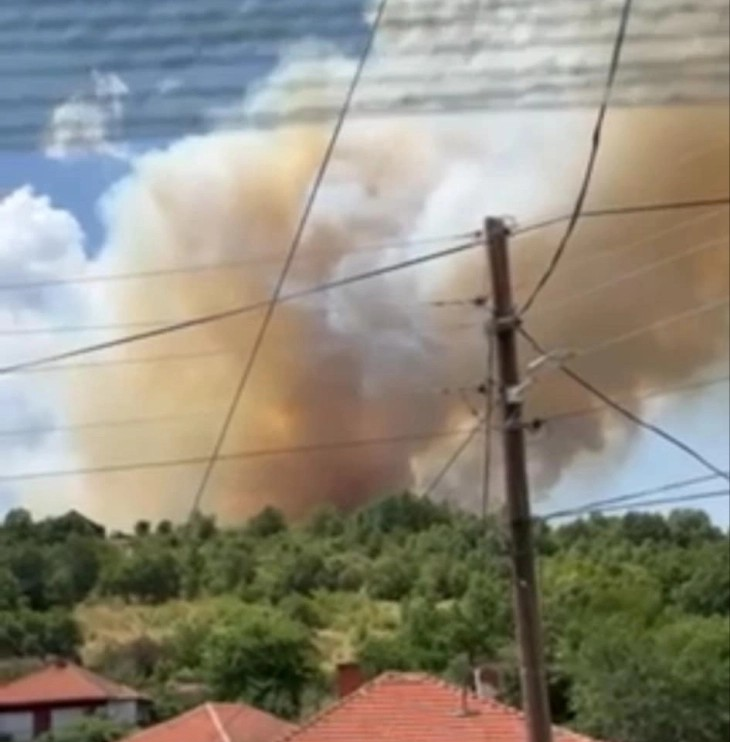 Во Крива Паланка три пожари, поради ветерот постои опасност да се приближат кон домовите на жителите на населбата Лозаново