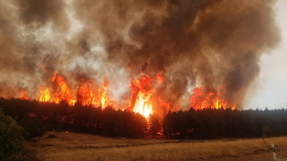 Страшна глетка од големиот пожар кај Јажинце – патот кон граничниот премин затворен (ФОТО+ВИДЕО)