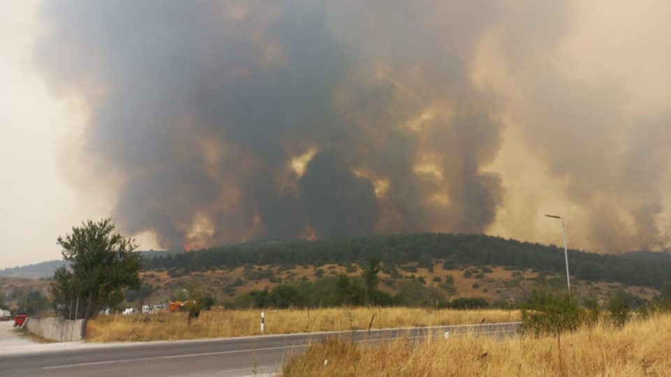 Пожарот во Јажинце ставен под контрола