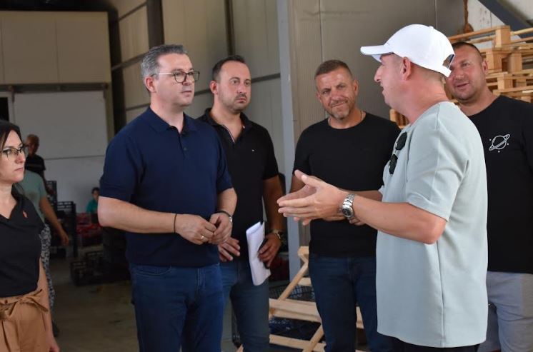 Трипуновски од струмичко: Пиперката се откупува непречено, имаме зголемување на субвенциите за 2025 година