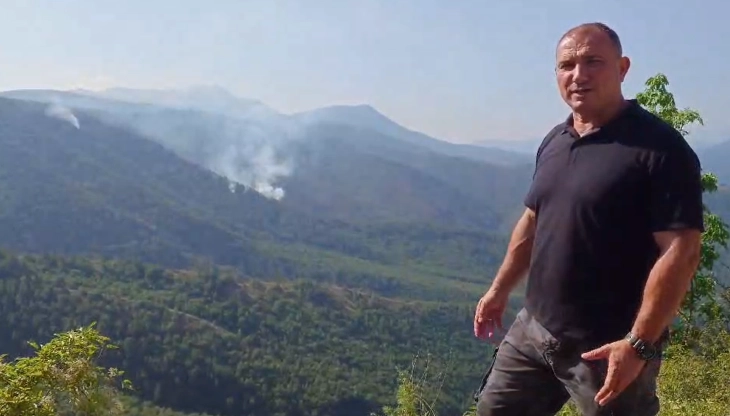 Ангелов: Се уште активен еден крак на пожарот во ловиштето Јасен