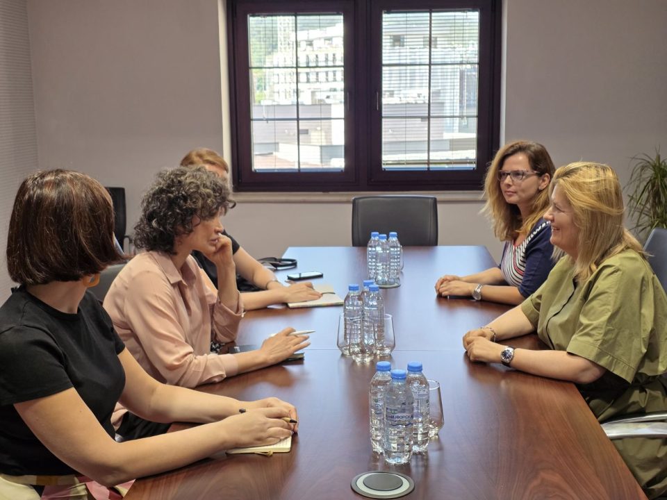 Божиновска и Колумбија: Заедничка визија за обновливи извори на енергија, енергетска ефикасност и поддршка на граѓаните од ранливите категории