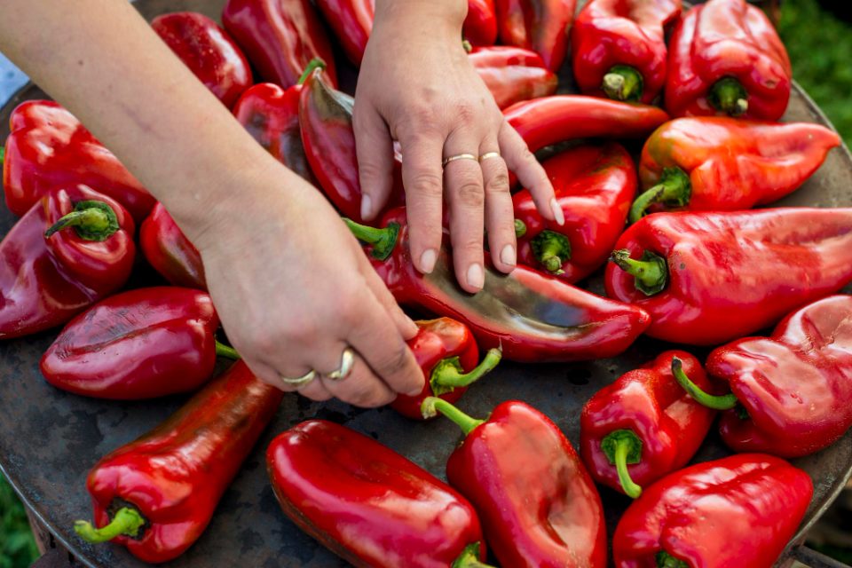 Ова е најдобриот домашен ајвар: Проверен рецепт кој нема конкуренција