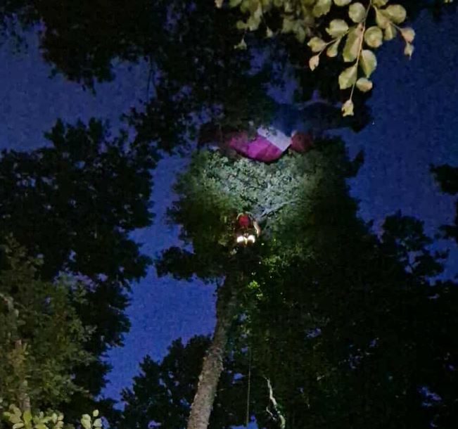 ФОТО: Спасен параглајдеристот кој висеше на дрво високо над 30 метри