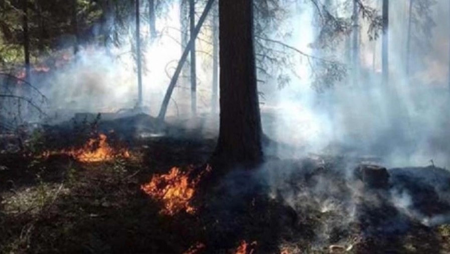 Пожарите кај Јасен, Кожуф и Долгаец се ставени под контрола, во моментов нема активни пожари