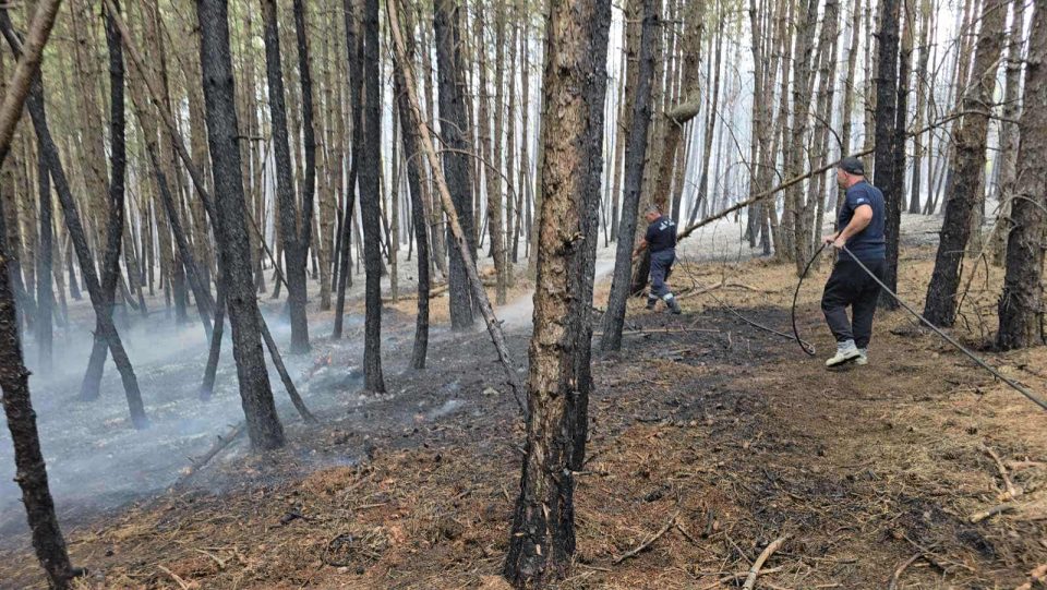 Ангелов: Пет активни пожари, најтешки за гаснење во „Јасен“ и Јажинце