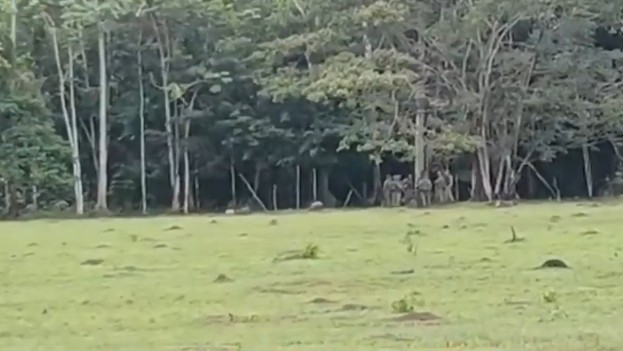 ВИДЕО: Ослободени над 30 војници киднапирани од вооружени цивили во Колумбија