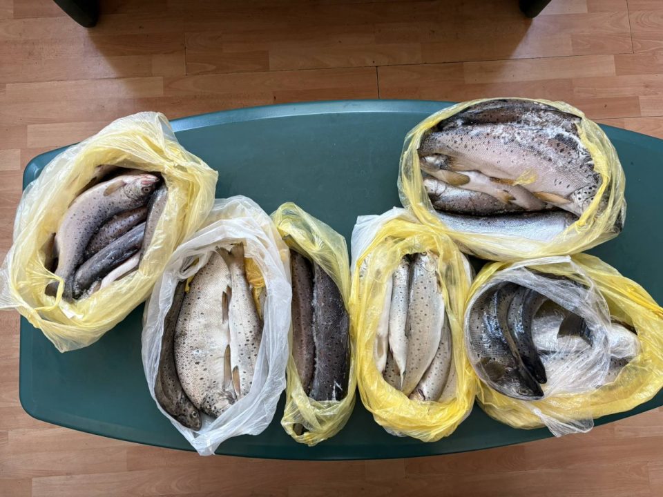 ФОТО: Немал ништо за пријавување, но цариниците му најдоа скриени ќеси со пастрмка  – Државјанин на Албанија фатен на Ќафасан