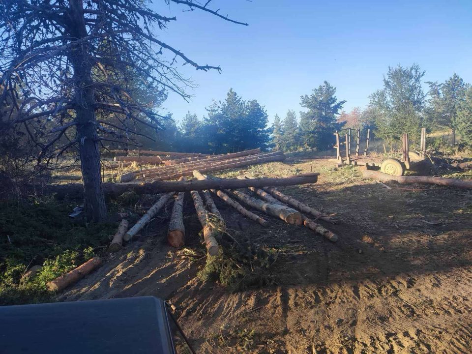 Лишени од слобода 15 лица, меѓу кои има вработени во МВР, ЈП Национални шуми, МЗШВ, со пустошење шуми предизвикале штета од над 100 милиони евра