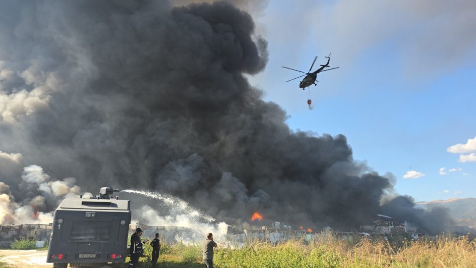 Проф. Малиш-Саздовска за пожарите: Има индиции што укажуваат на посериозна криминална појава спроведена од организирана криминална група