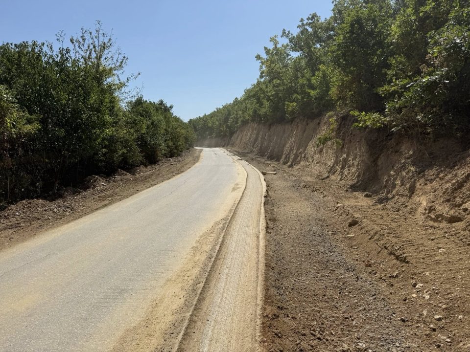 Трајановски: Работиме активно на проширување на коловозот во струшкиот регион