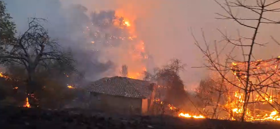 (ВИДЕО) Пожар над село Русиново, Берово