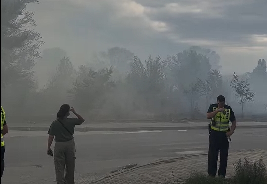 Директорот Апостолоски уште пред еден месец ги предупредил општина Карпош и Град Скопје за можноста од пожар од сувата трева