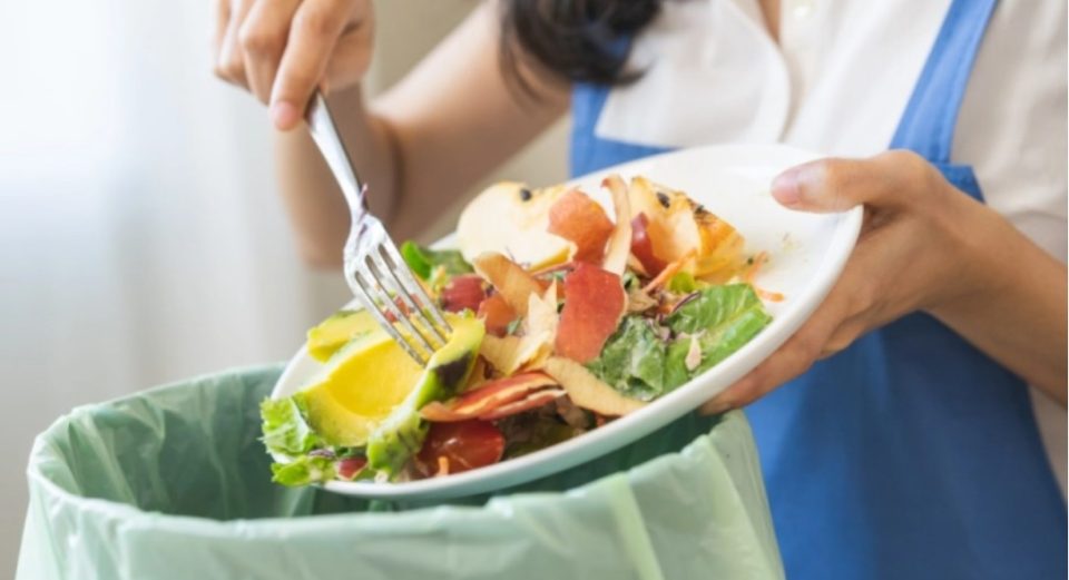 ЕП усвои нови правила за отпадот од текстил и храна и за дизајн, повторна употреба и рециклирање на возилата