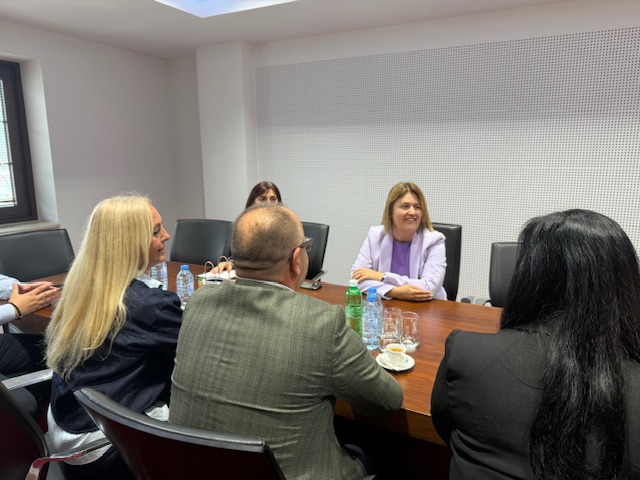 Занаетчиите со силна поддршка за иницијативата на Божиновска за институционална заштита на македонскиот рубин