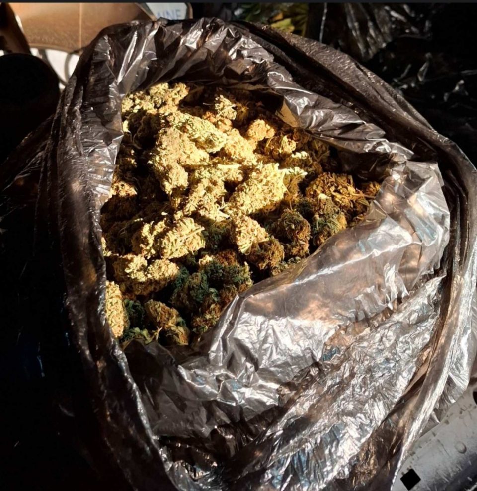 ФОТО: Пронајдена дрога, приведени две лица