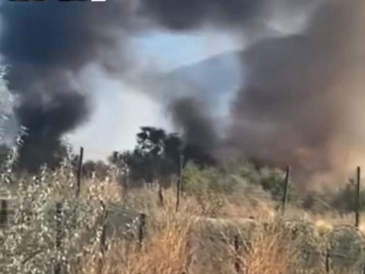 Локализиран пожарот што избувна во местото Аквадукт