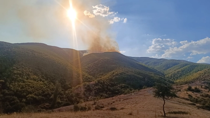 Пожарот кај Никуштак активен, во гаснењето вклучени два „ер трактора“