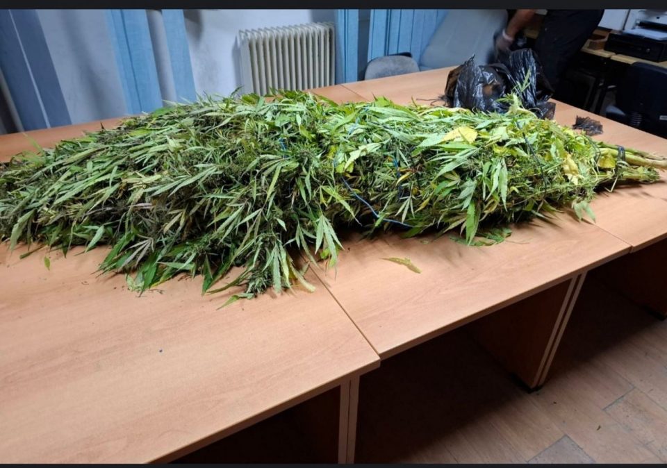 Претрес во велешко, пронајдена дрога, приведени две лица