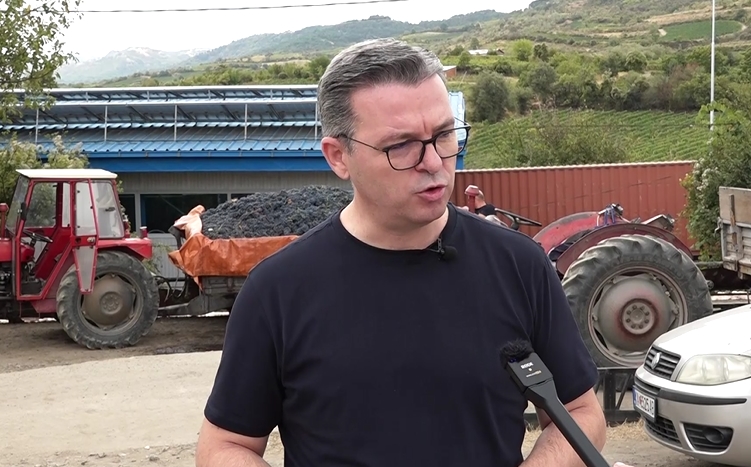 Трипуновски: Откупени се над 78 милиони килограми на винско грозје, секој грозд ќе биде собран да не се грижат земјоделците