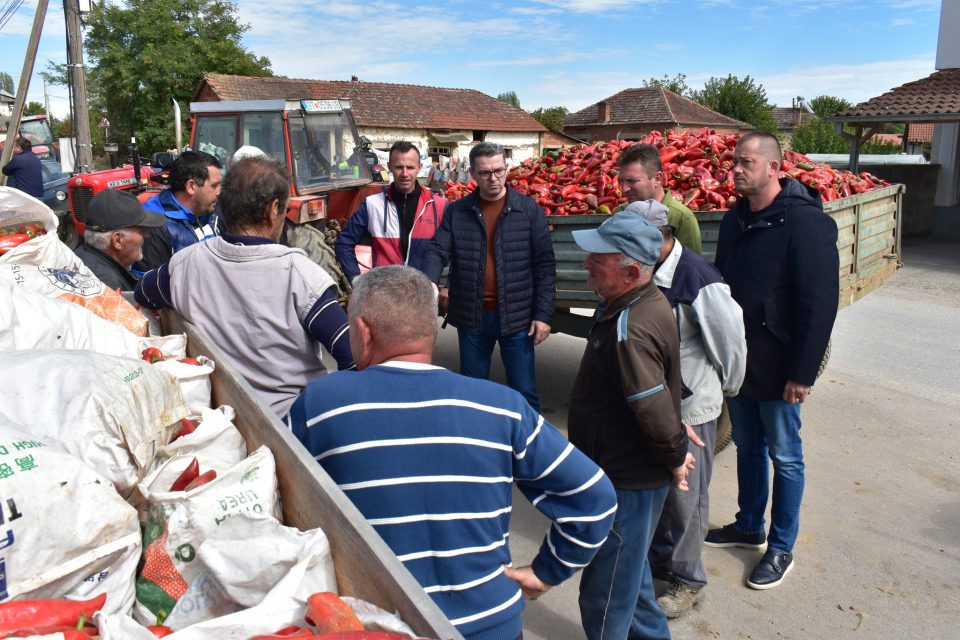 Трипуновски: Откупот на пиперка се одвива непречено, земјоделството останува врвен приоритет на Владата предводена од ВМРО-ДПМНЕ