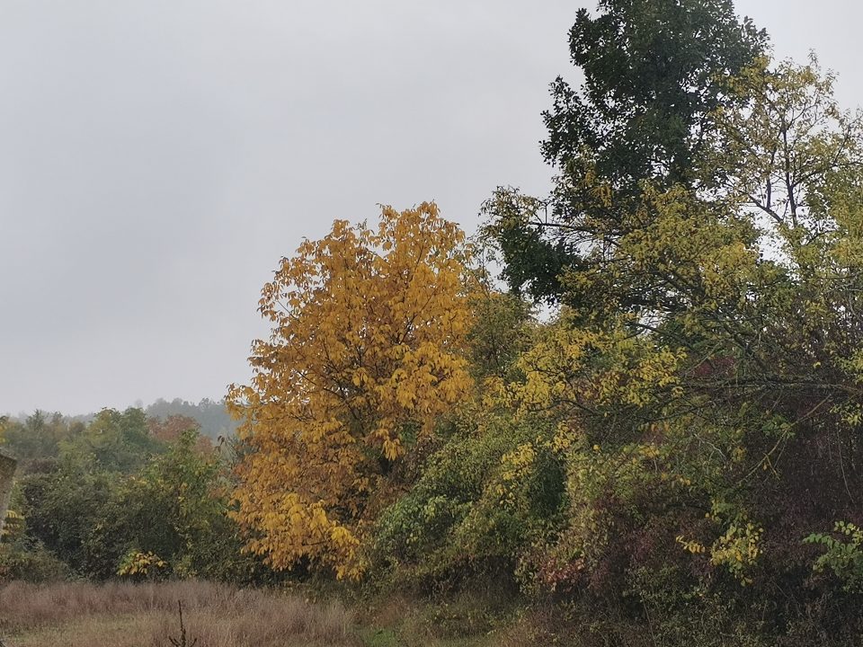 Од денеска до сабота облачно со повремен дожд