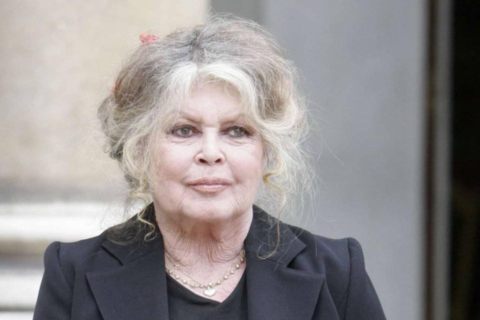 Брижит Бардо итно примена во болница