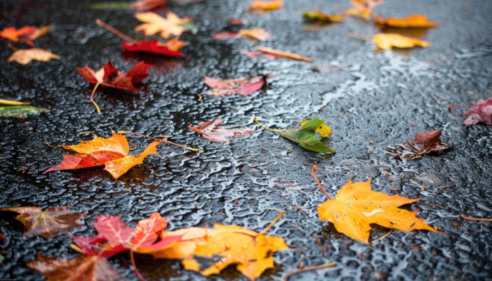 За викендот стабилно и суво време, од понеделник дожд