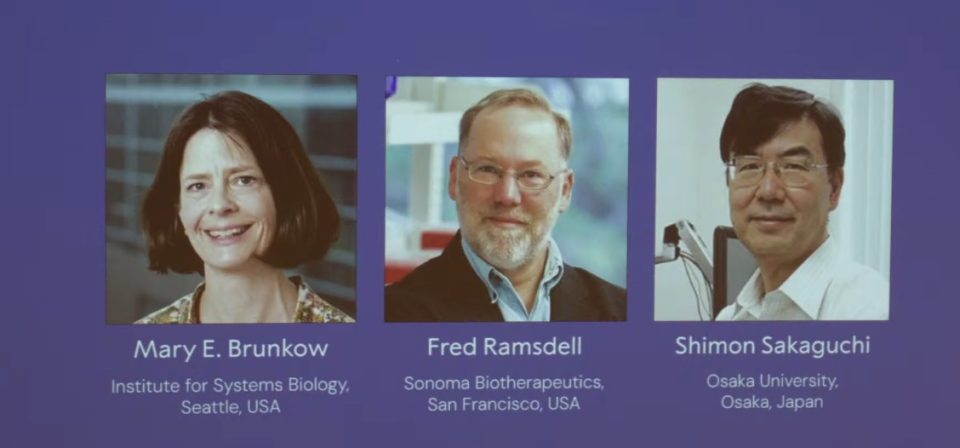 Нобелова награда за медицина за тројца научници кои ја открија одбраната на телото од сопствена агресија