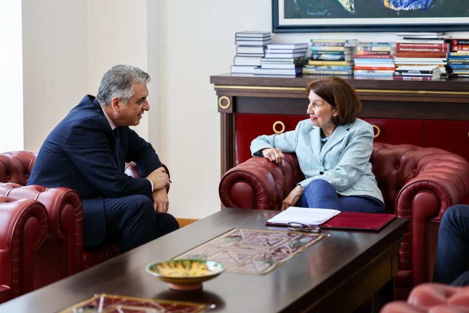 Можни решенија за откочување на македонските евроинтеграции, тема на разговор меѓу Сиљановска-Давкова и грчкиот професор Армаколас