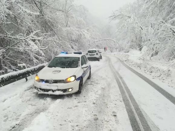 Снегот предизвика проблеми низ цела Србија: Околу 50.000 корисници без струја