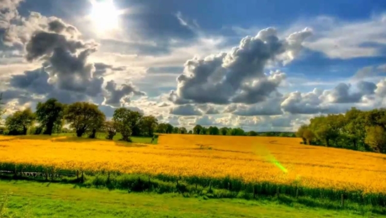 Европратениците повикаа на целосна имплементација на законодавството на ЕУ за животната средина