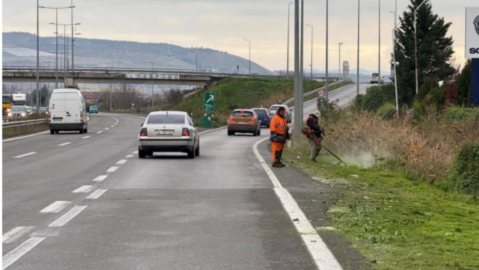 ФОТО: Расчистување на вегетацијата на клучките на автопатот А1, безбедноста врвен приоритет велат од ЈПДП