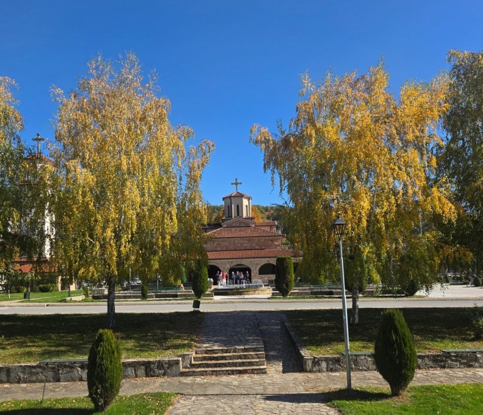 До 18:30 часот излезеноста во Македонска Каменица 55 проценти