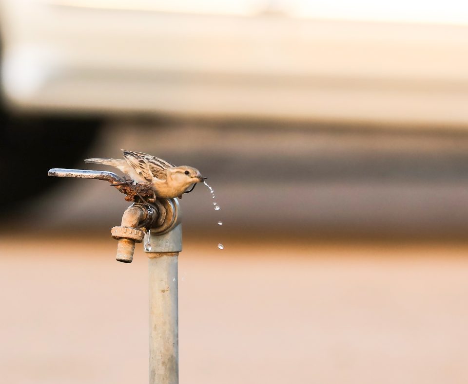 Без вода дел од село Љубанци