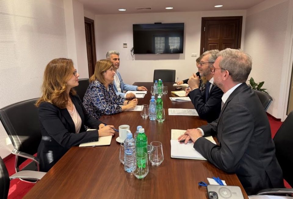 Божиновска и де Грут: Можности за големи енергетски инвестиции и зелена трансформација во Македонија