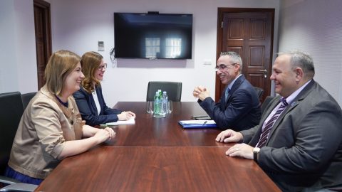 Божиновска-Медеб: Иновации и ВИ во служба на енергетската транзиција