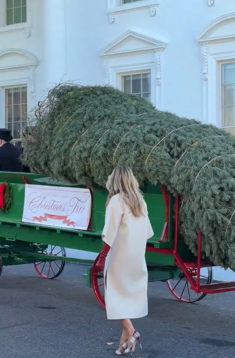 ВИДЕО: Меланија Трамп ја пречека новогодишната елка во Белата куќа