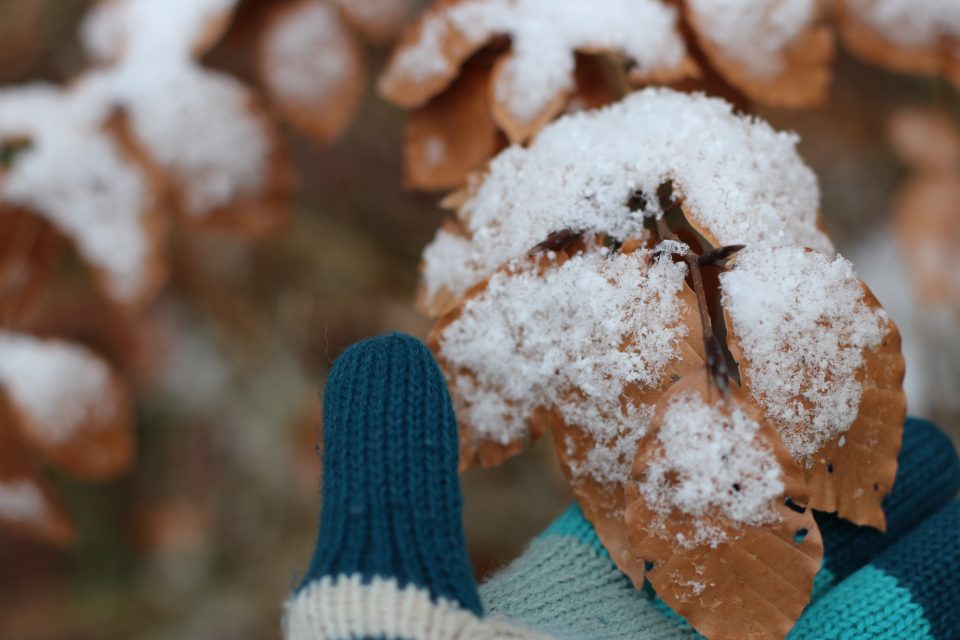Снег во Хрватска, има на Сљеме, Лика и Горски Котар