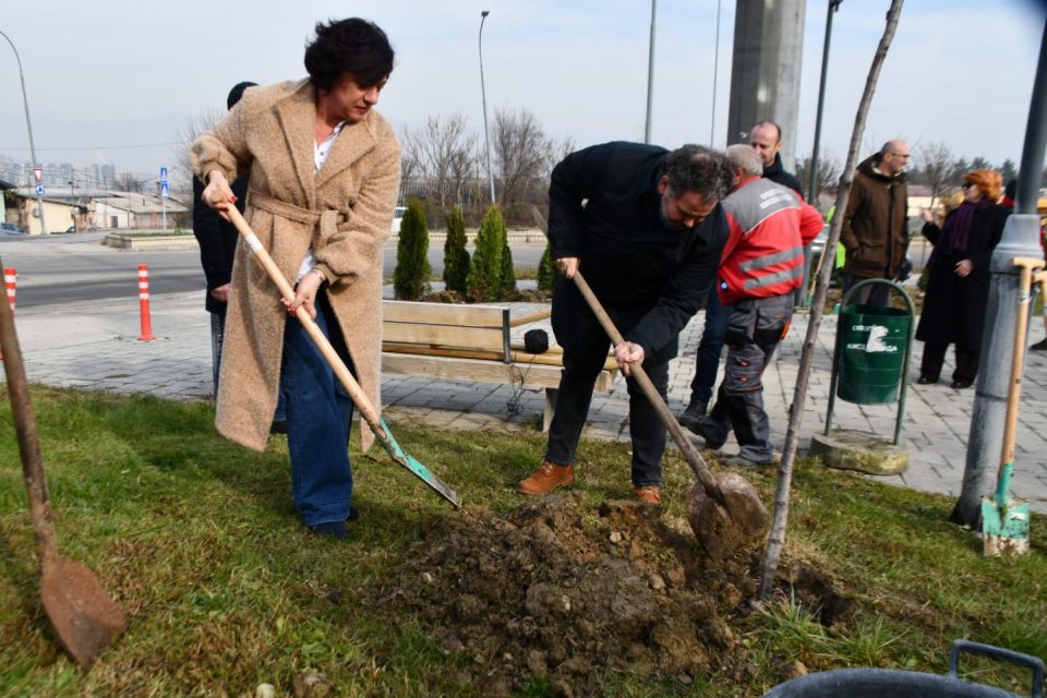 Голема акција за пошумување на територијата на општина Кисела Вода