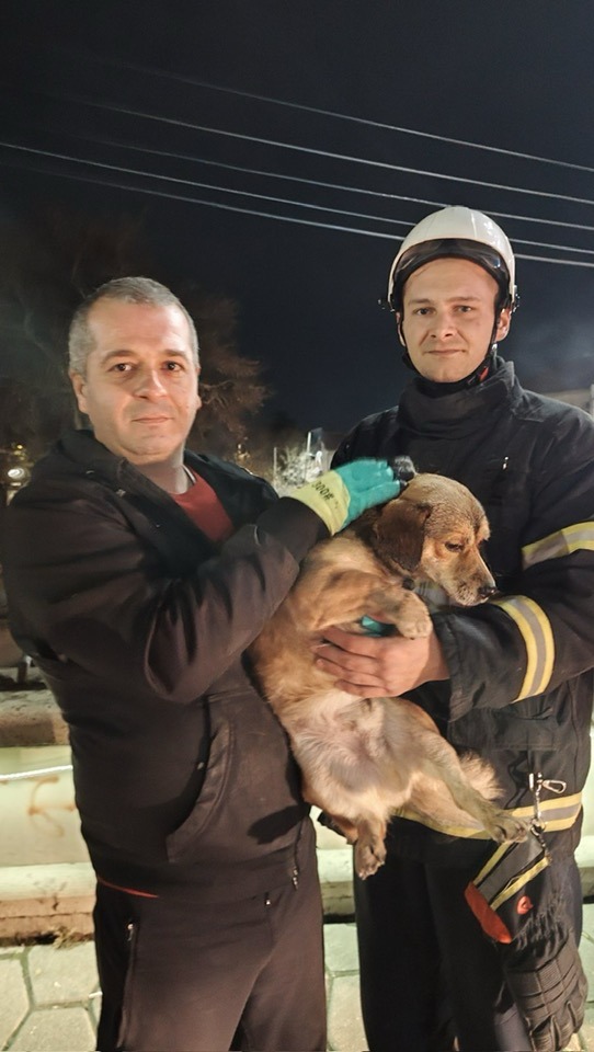 Пожарникарите од Кавадарци спасија куче од водите на реката Луда Мара