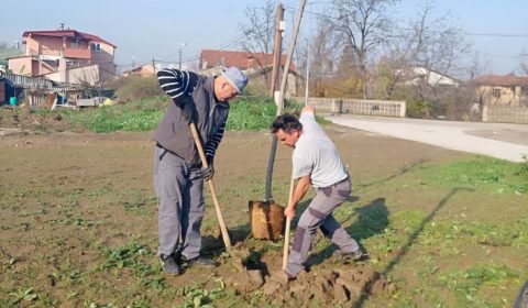 ЗЕЛЕНАТА ОФАНЗИВА ВО АЕРОДРОМ ПРОДОЛЖУВА: Засадени високостеблести јасени во новиот парк во Горно Лисиче! (ФОТО)