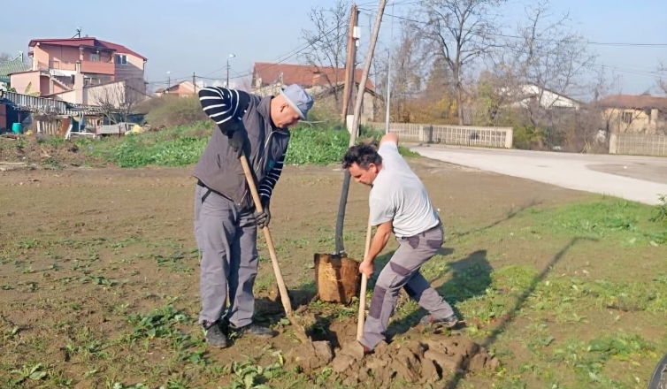 ЗЕЛЕНАТА ОФАНЗИВА ВО АЕРОДРОМ ПРОДОЛЖУВА: Засадени високостеблести јасени во новиот парк во Горно Лисиче! (ФОТО)
