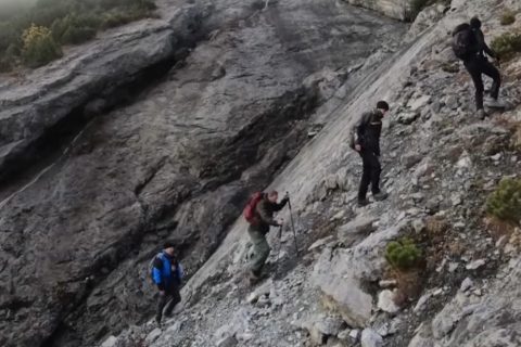 ВИДЕО: Во Италија откриени илјадници отпечатоци од диносауруси